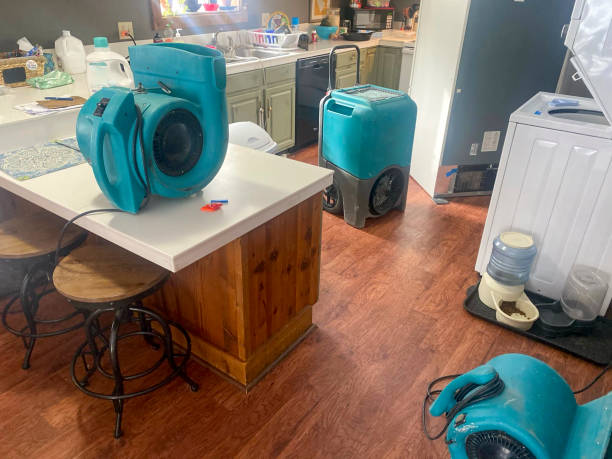 Best Ceiling water damage repair  in Jennings, MO