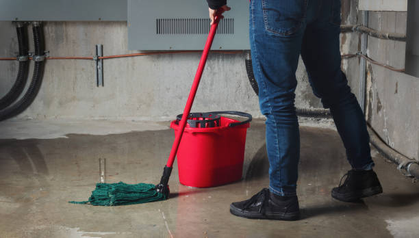 Best Water damage restoration insurance claims  in Jennings, MO