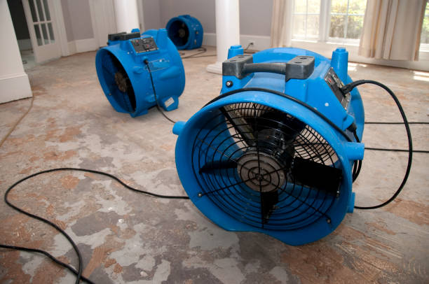 Best Professional water damage repair  in Jennings, MO