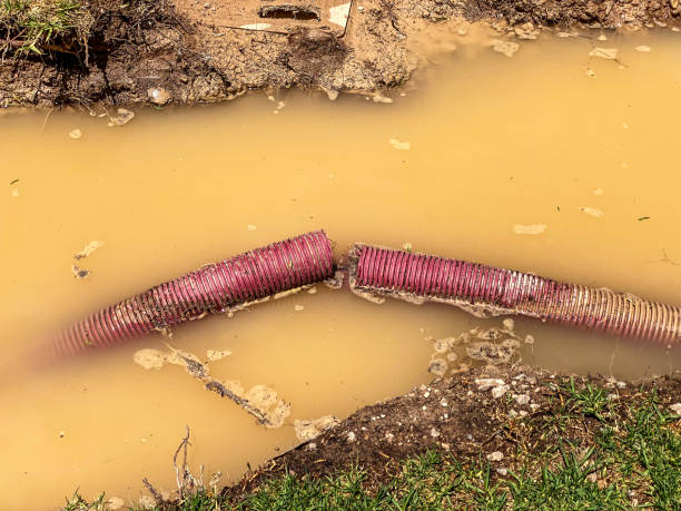 Best Mold removal after water damage  in Jennings, MO